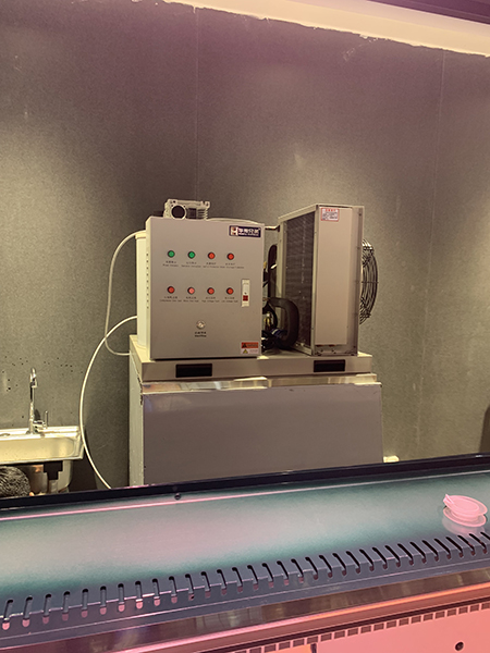 300公斤片冰機(jī)